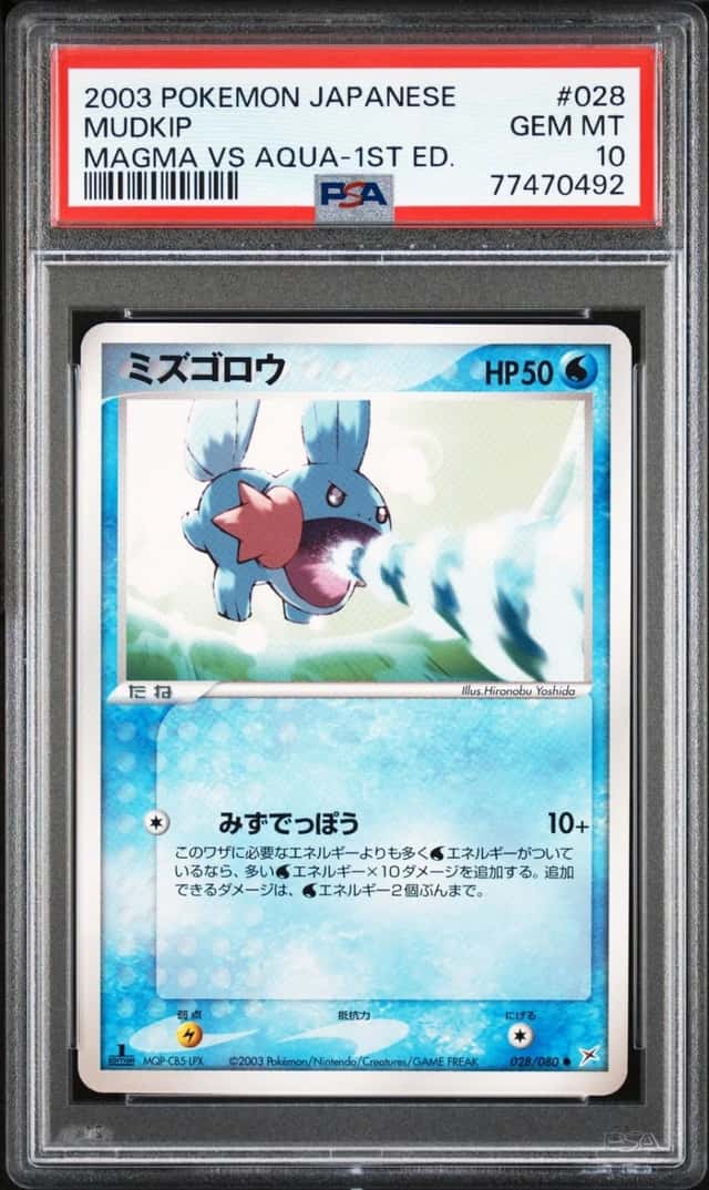 Mudkip