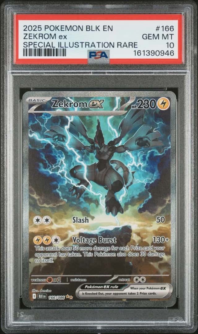 ZEKROM ex