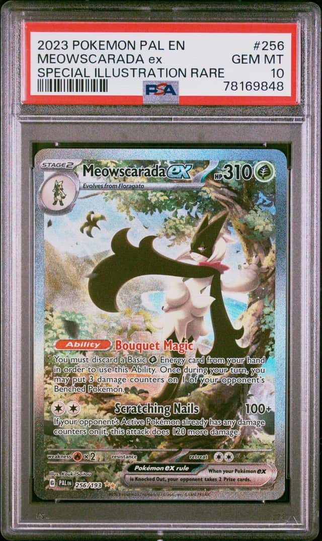 MEOWSCARADA ex