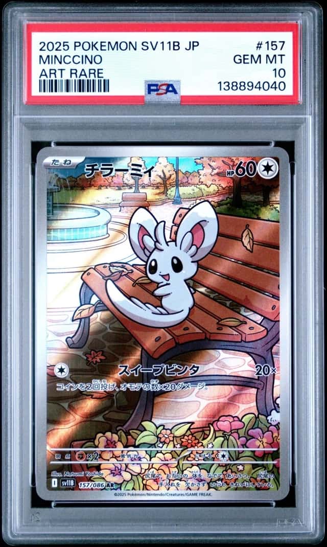 Minccino