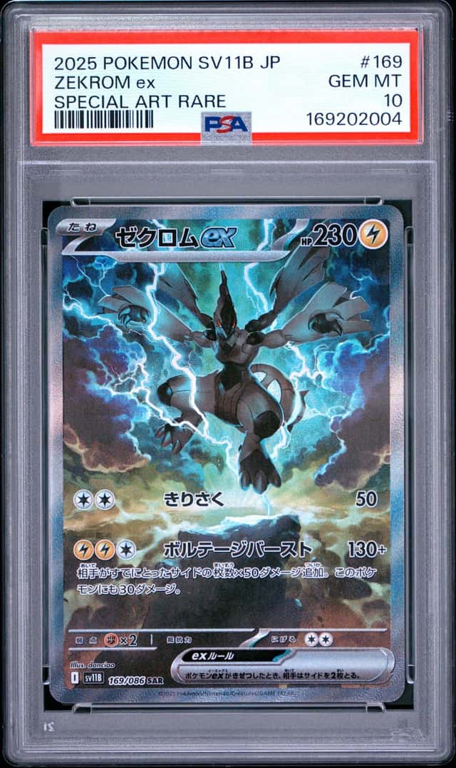 ZEKROM ex