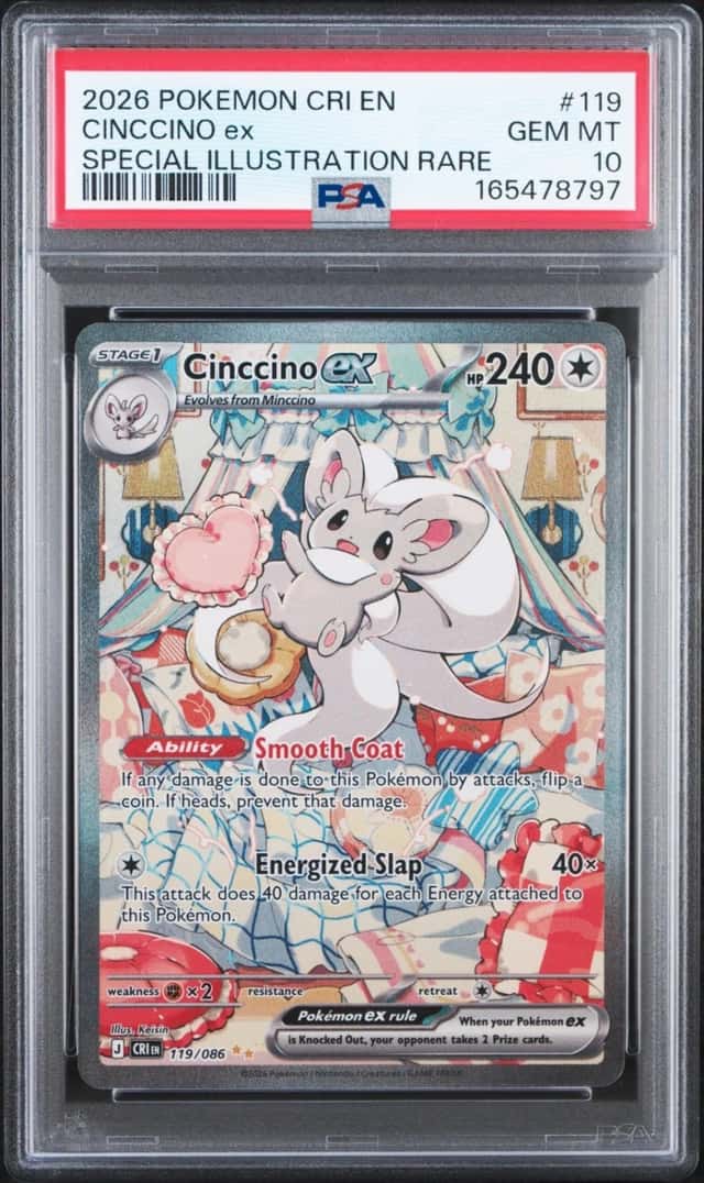 CINCCINO ex