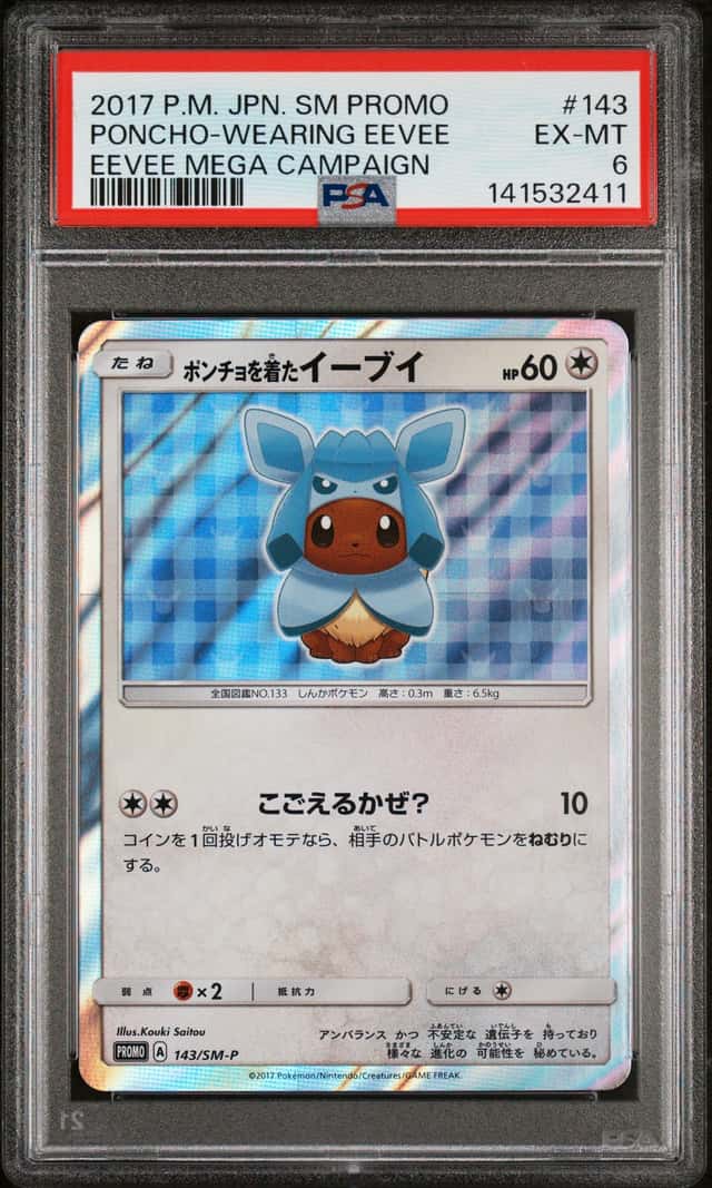 Poncho-Wearing Eevee