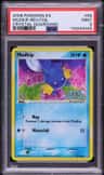 Mudkip