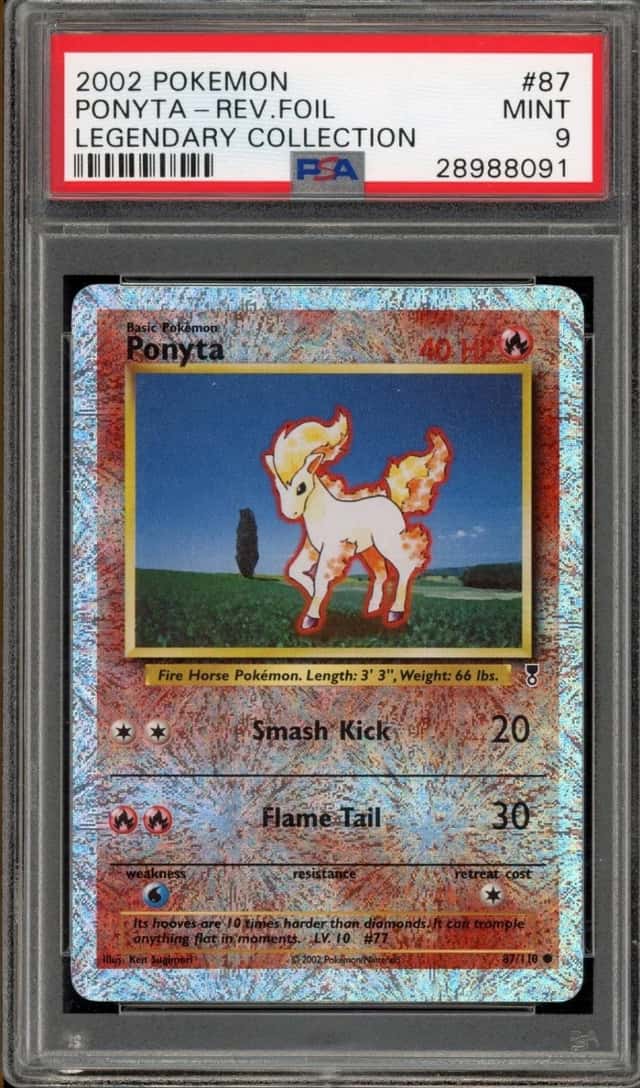 Ponyta