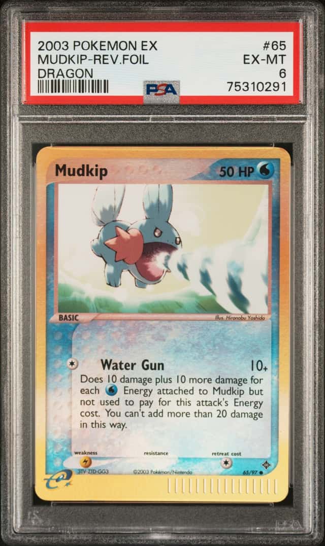 Mudkip