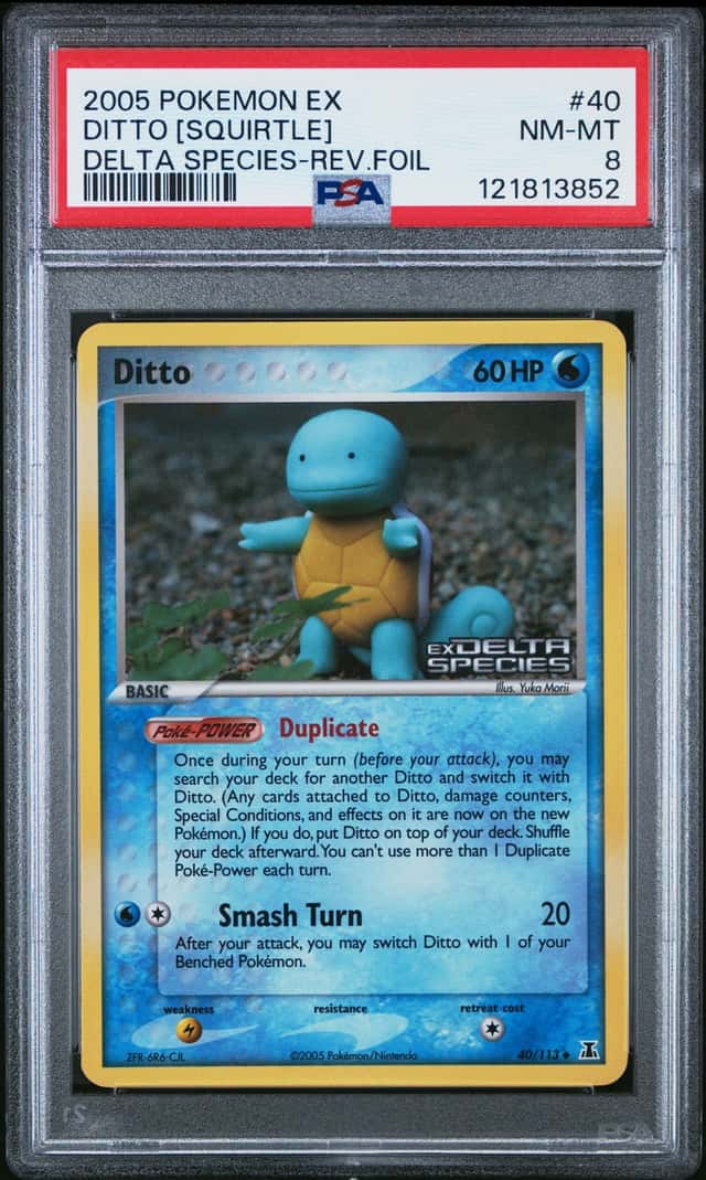 Ditto [Squirtle]