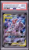 Mewtwo & Mew Gx
