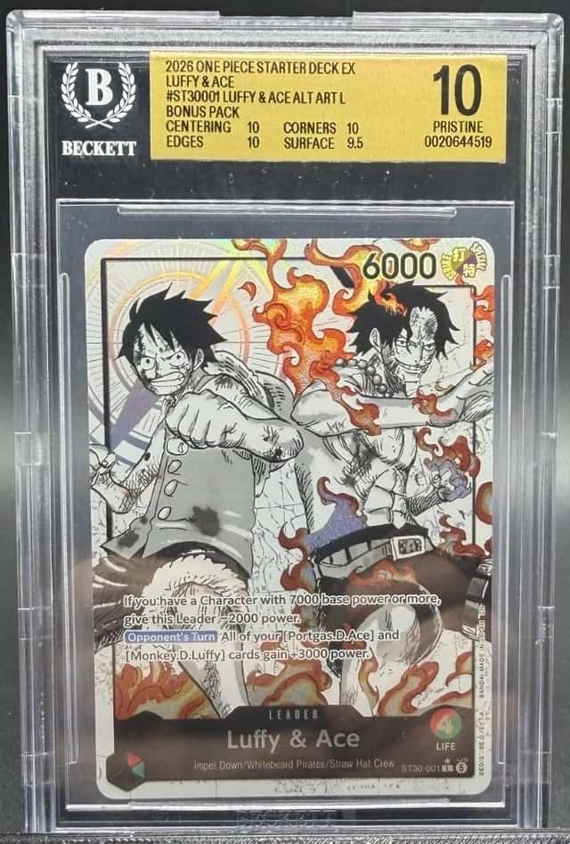 Luffy & Ace