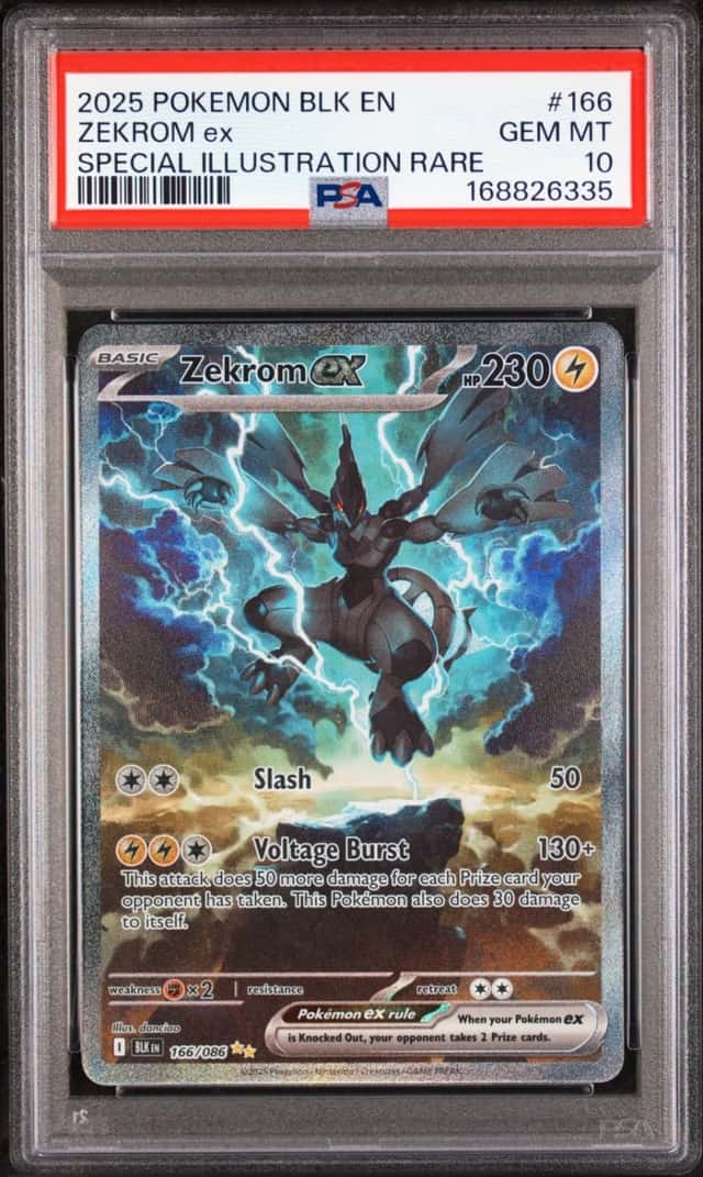 ZEKROM ex