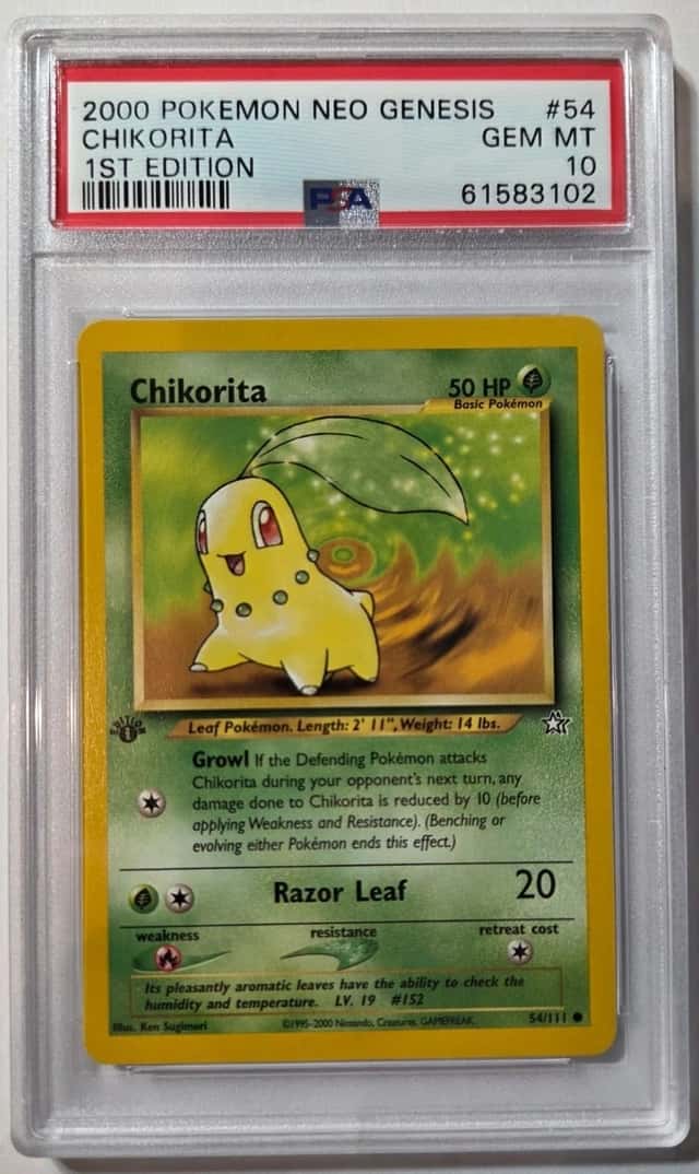 Chikorita