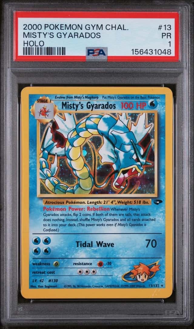 Misty's Gyarados