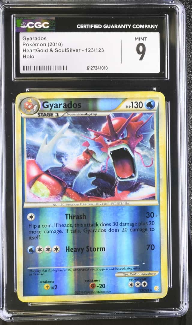 Gyarados