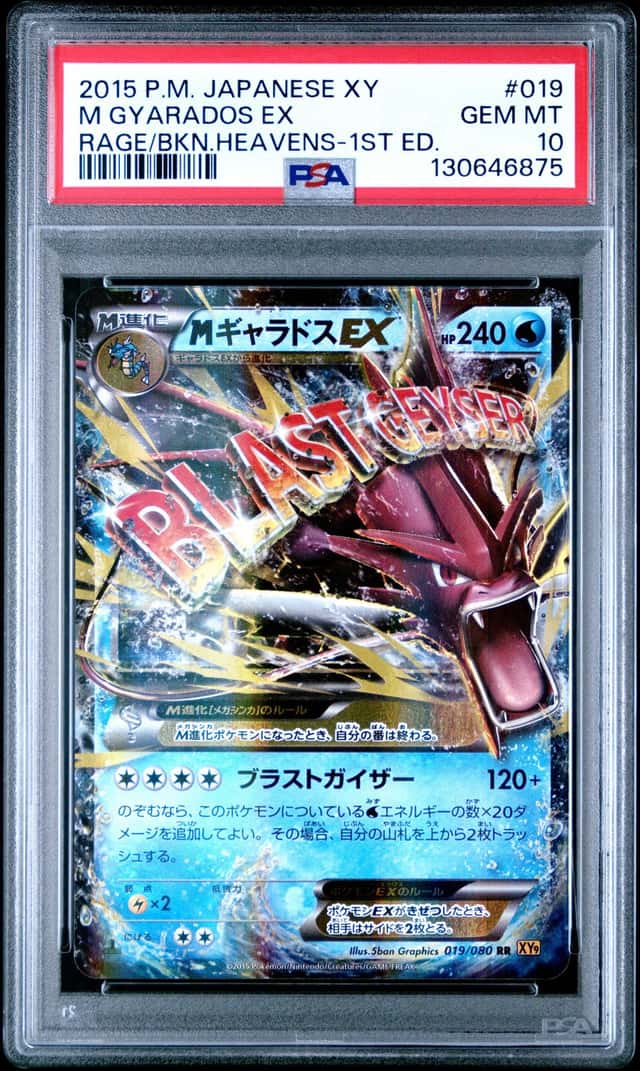 M Gyarados EX