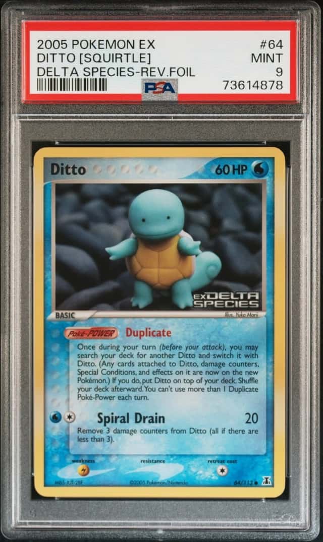 Ditto [Squirtle]