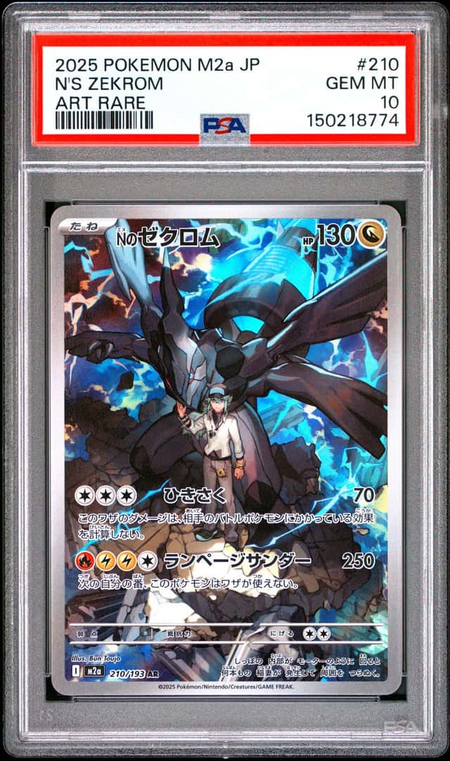 N's Zekrom