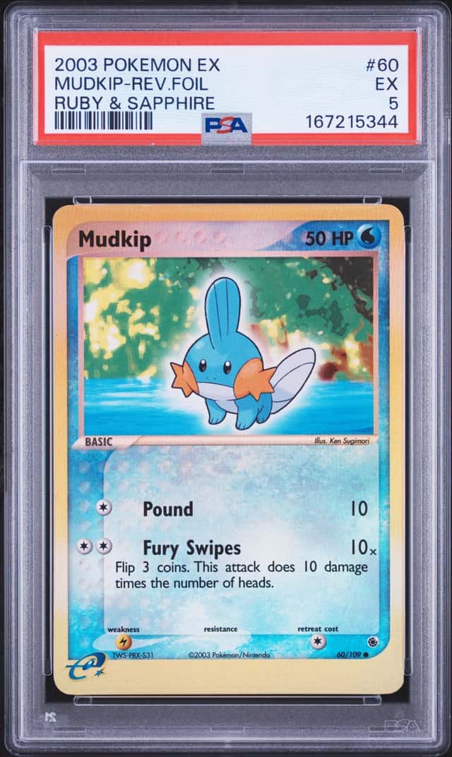 Mudkip
