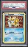 Magikarp