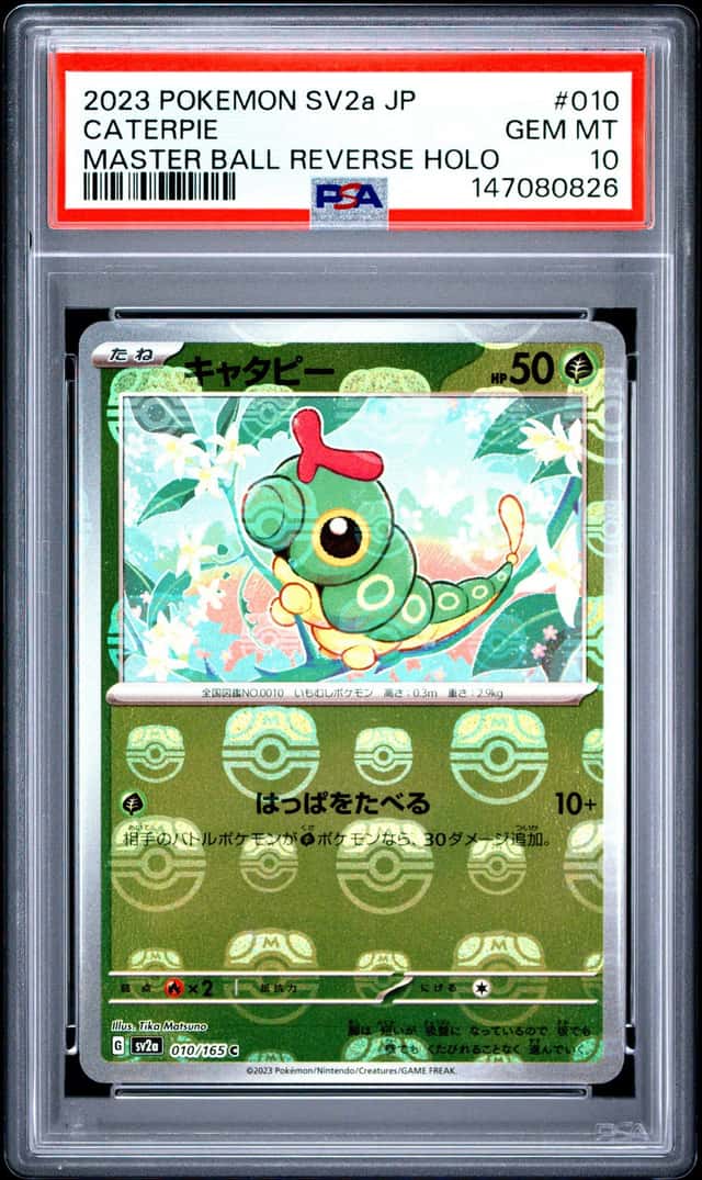Caterpie