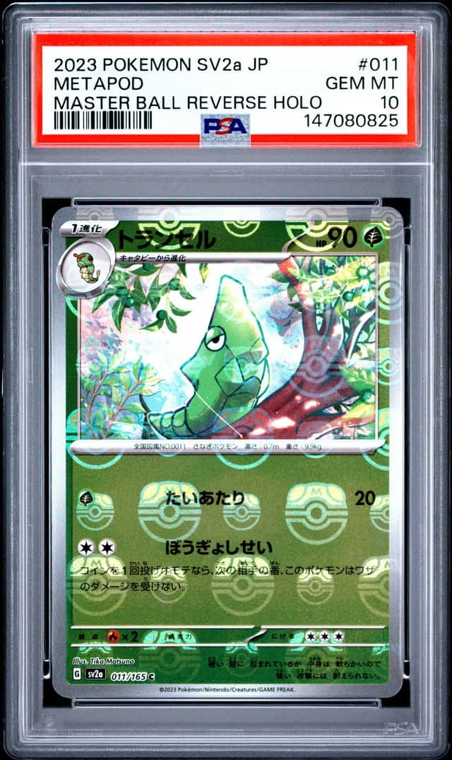 Metapod
