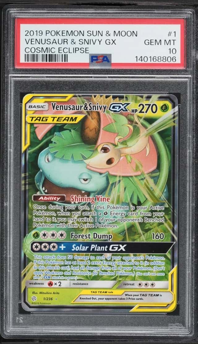 Venusaur & Snivy GX