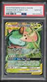 Venusaur & Snivy Gx