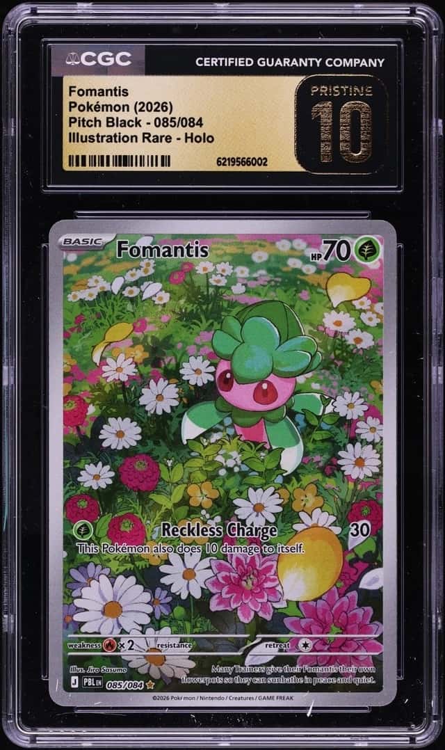 Fomantis