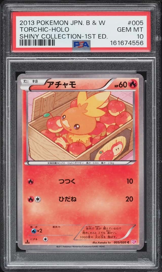 Torchic