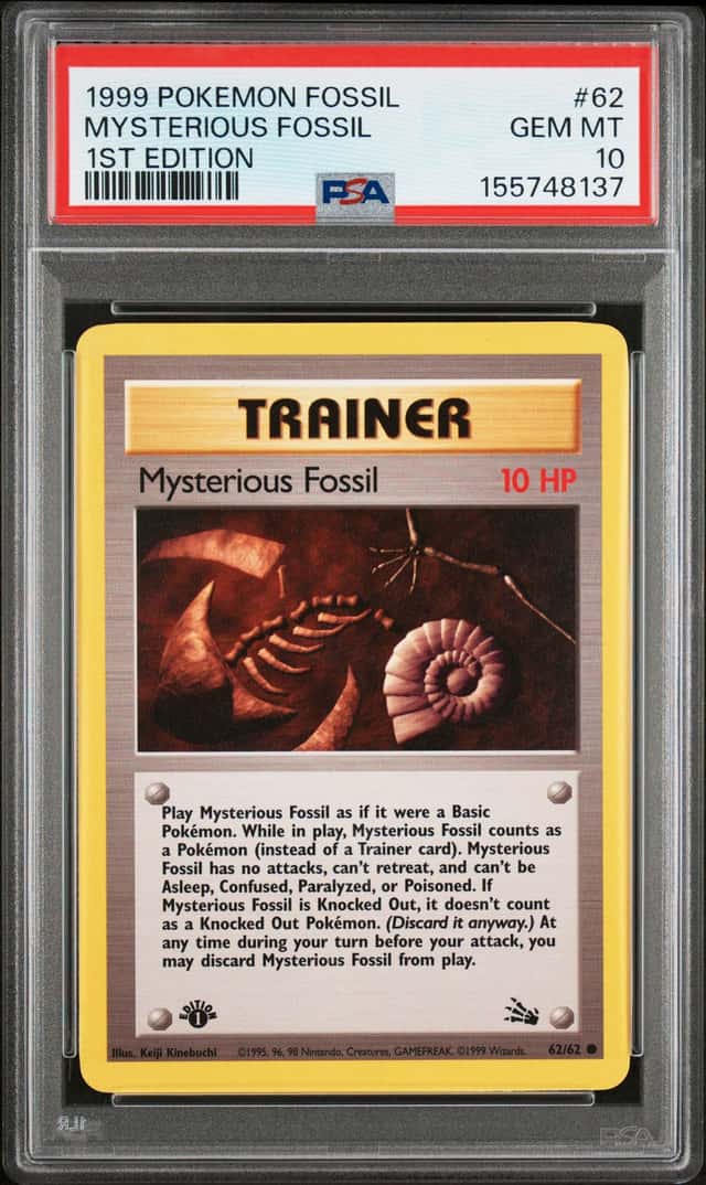 Mysterious Fossil