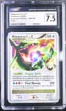 Rayquaza C Lv X
