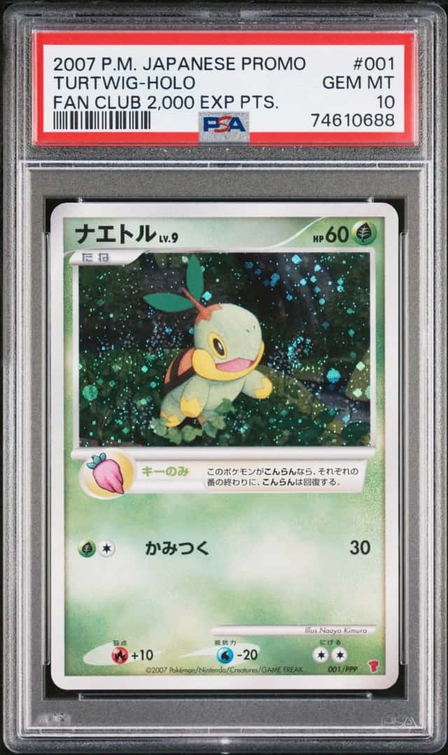Turtwig