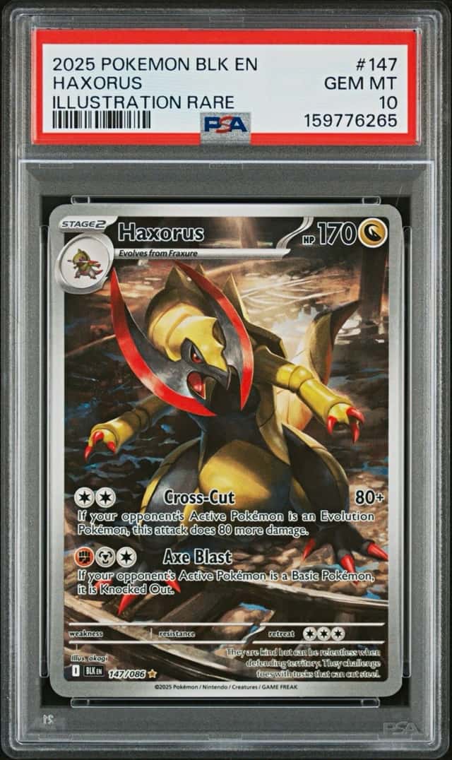 Haxorus