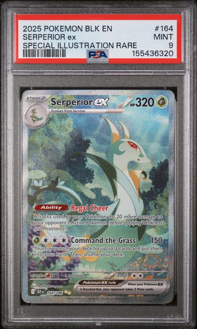 SERPERIOR ex