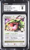 Rayquaza C Lv X