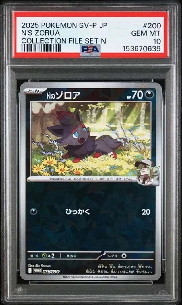 N's Zorua