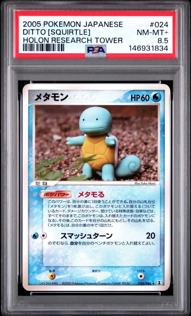 Ditto [Squirtle]