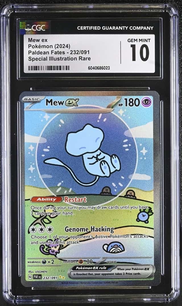 MEW ex