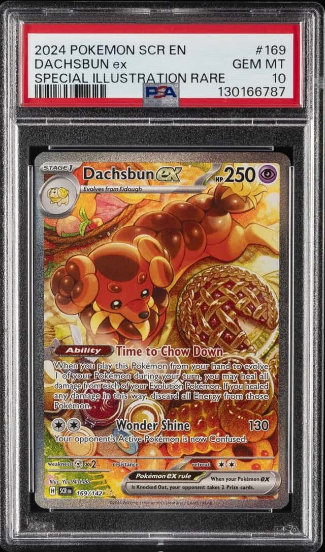 DACHSBUN ex