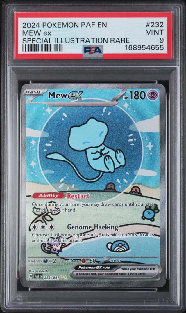 MEW ex