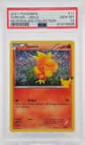 Torchic