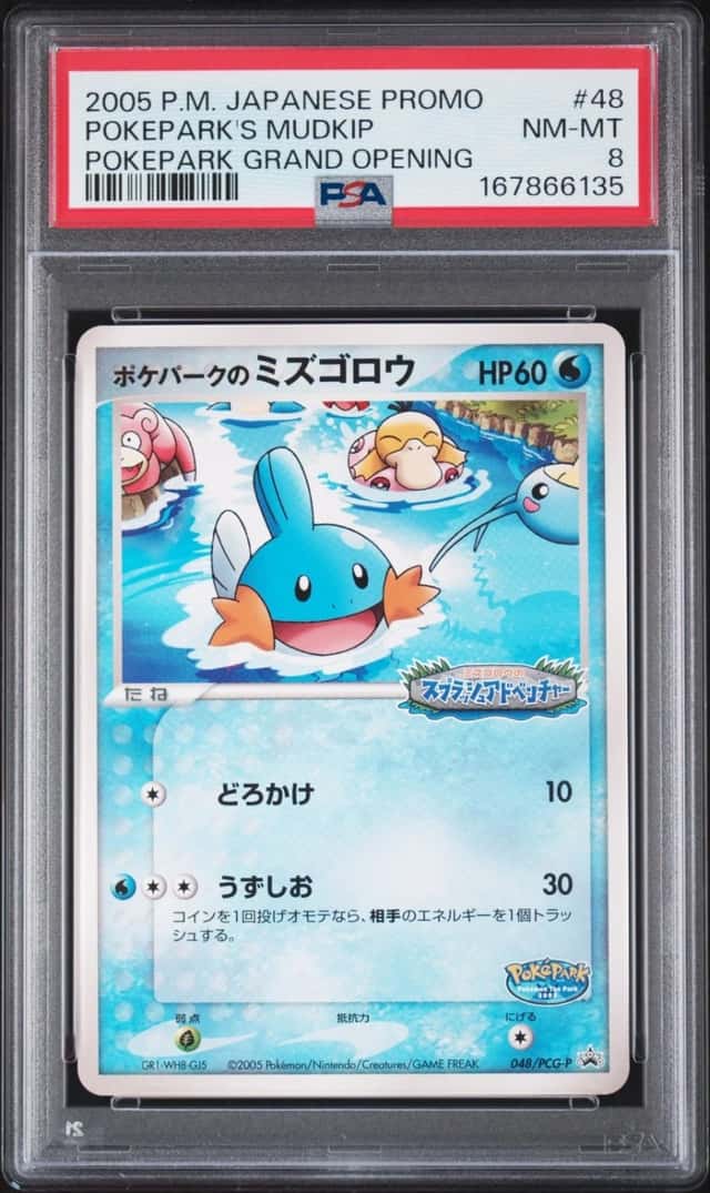 Pokepark's Mudkip