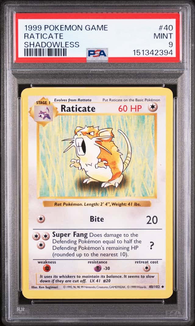 Raticate