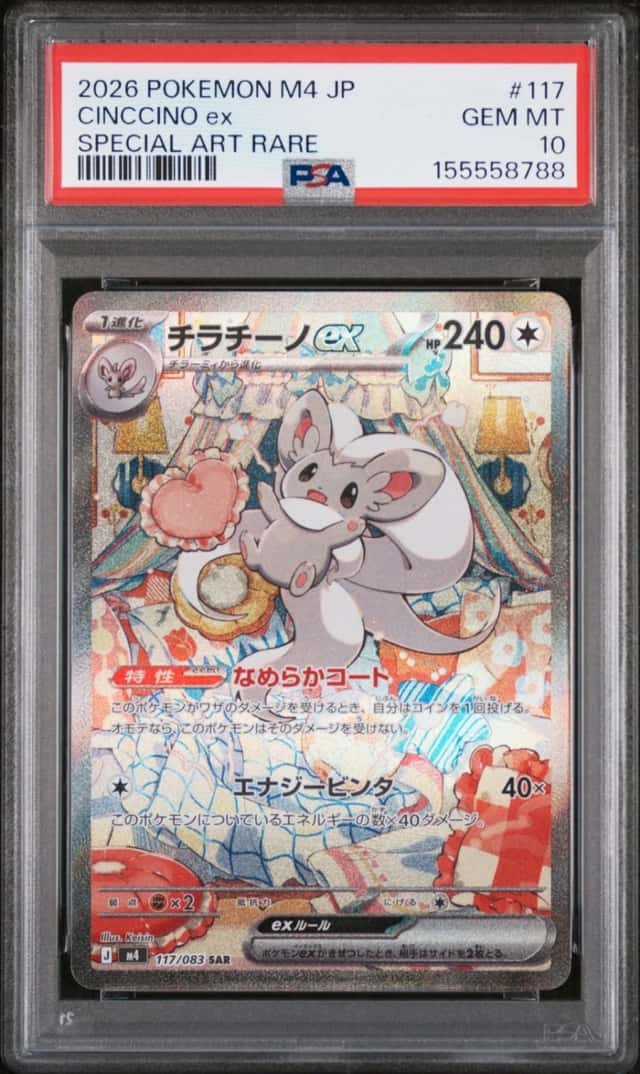 CINCCINO ex