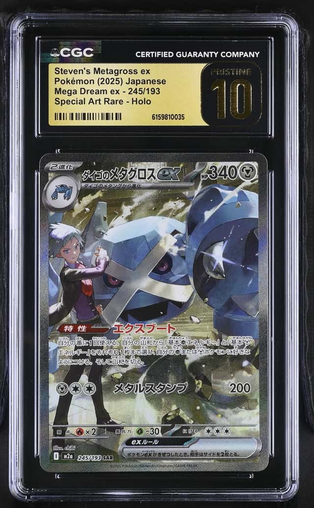 STEVEN'S METAGROSS ex