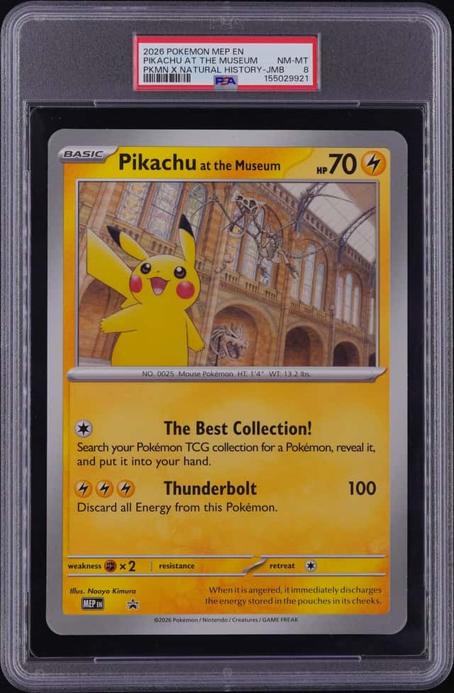 Pikachu At The Museum