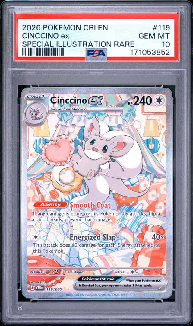 CINCCINO ex
