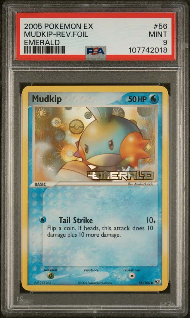 Mudkip