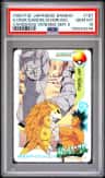G.onix/sandslsh/bruno