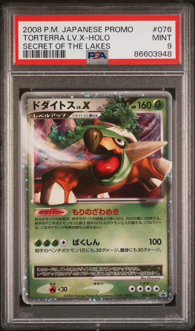 Torterra Lv X