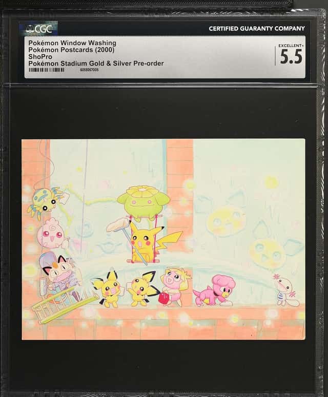 Pokémon Window Washing